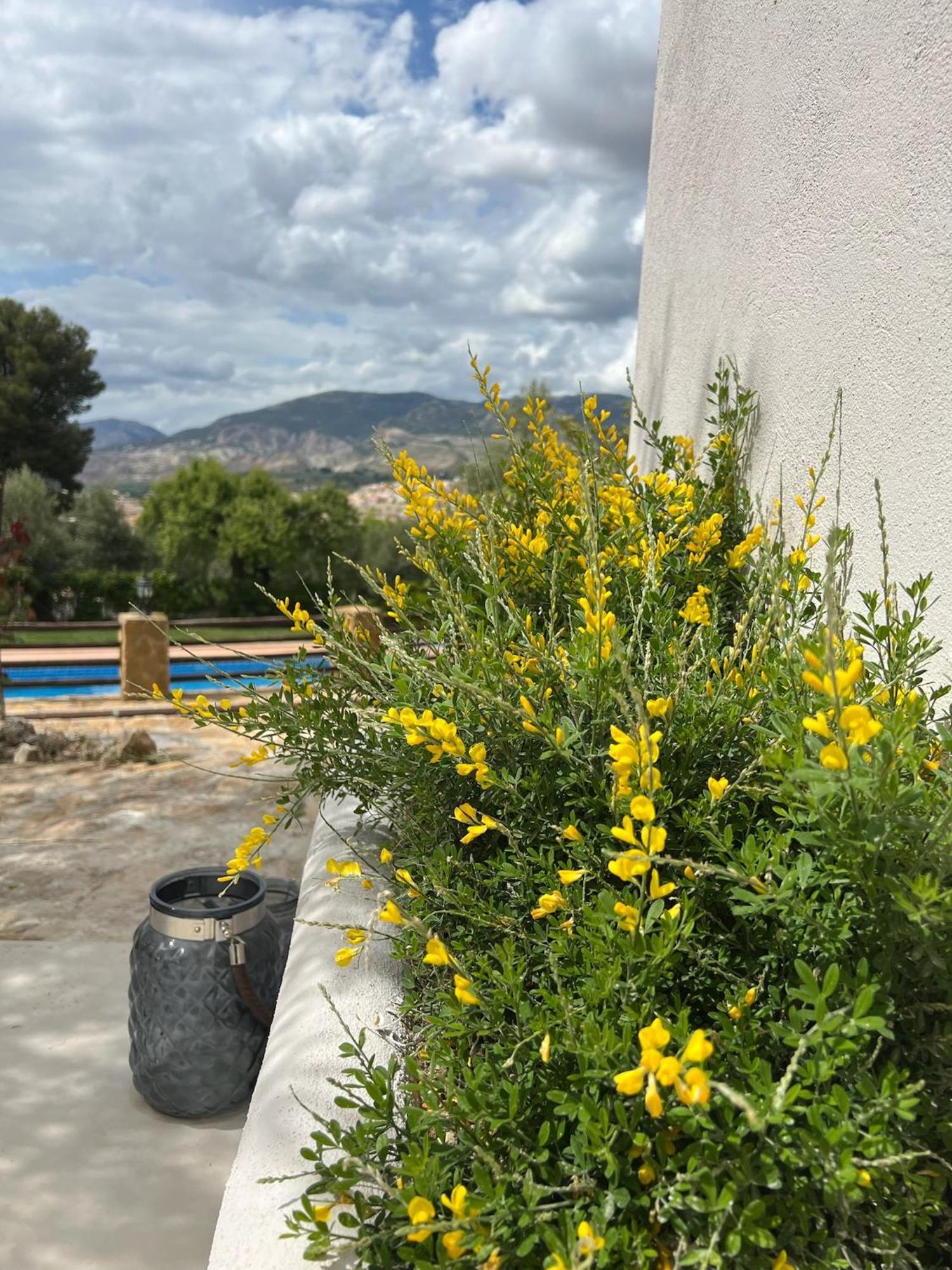 Lenta Suites Pozo Alcón エクステリア 写真